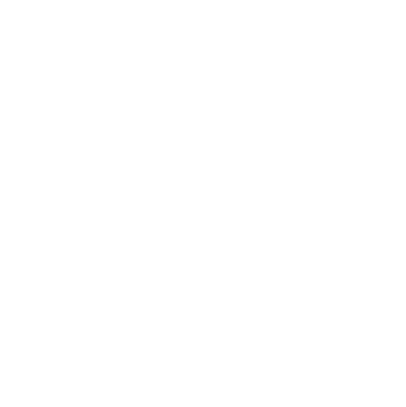 Lightronics-iconen-marketing-2021 wit__Naleverbaar