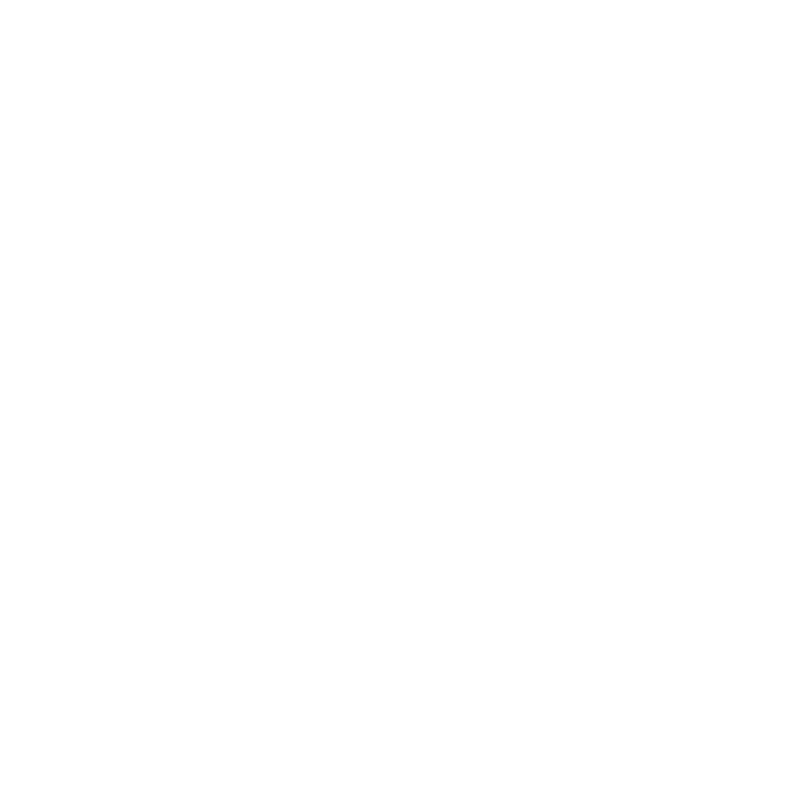 Lightronics-iconen-marketing-2021 wit__Montagegemak