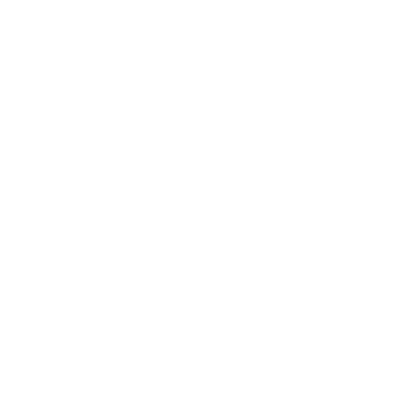 Lightronics-iconen-marketing-2021 wit__Garantie