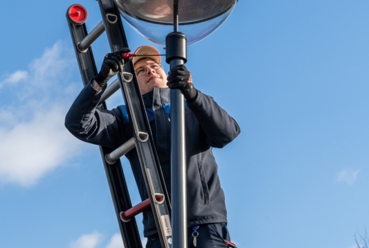 240-2024-Klein-Oisterwijk-Prunus-036 240-2024-Klein-Oisterwijk-Prunus-036