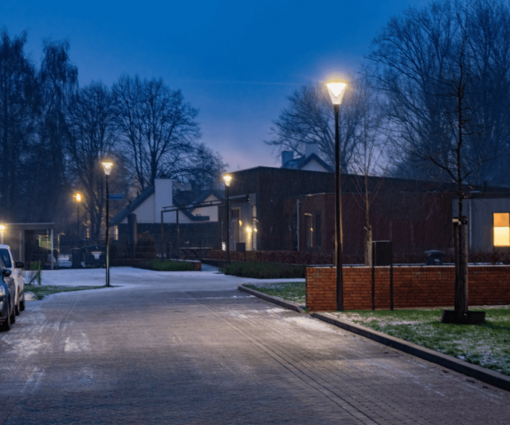 240_2024_sHeerenloo_Druten_Prunus_A3-019