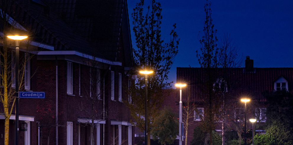 Lightronics_header_PRUNUS_B