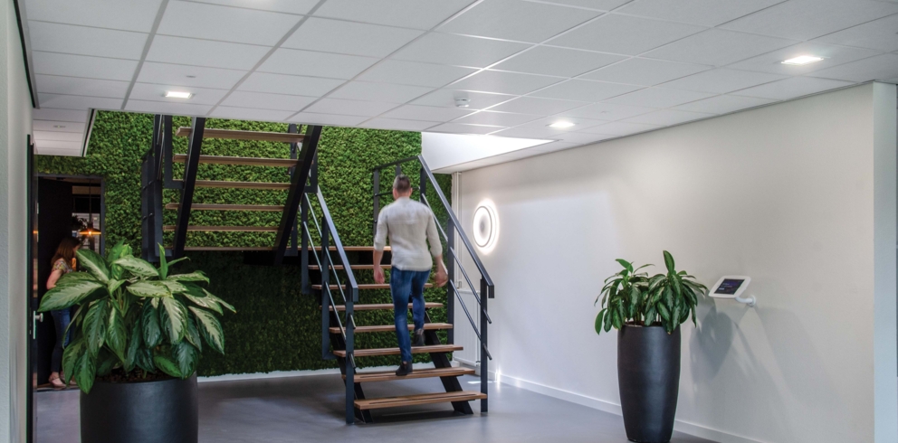 lightronics-08 lightronics-08