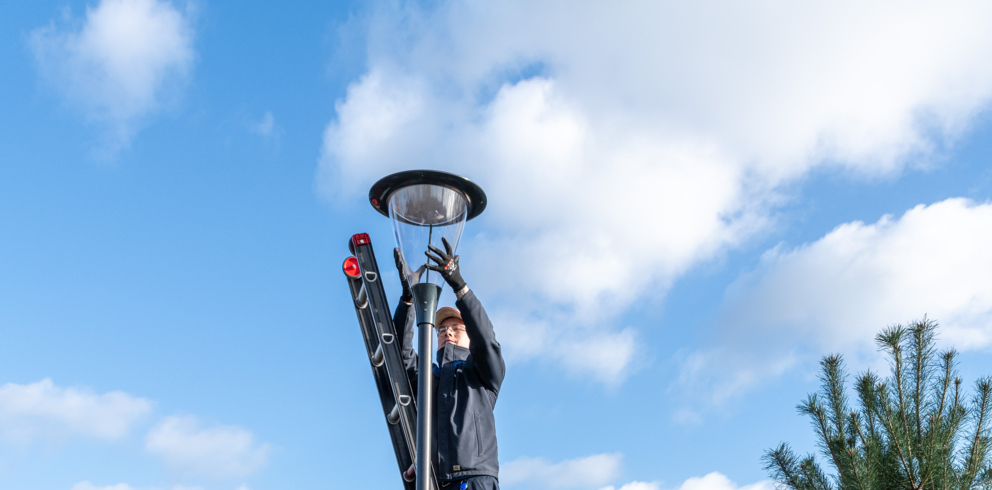 240-2024-Klein-Oisterwijk-Prunus-047