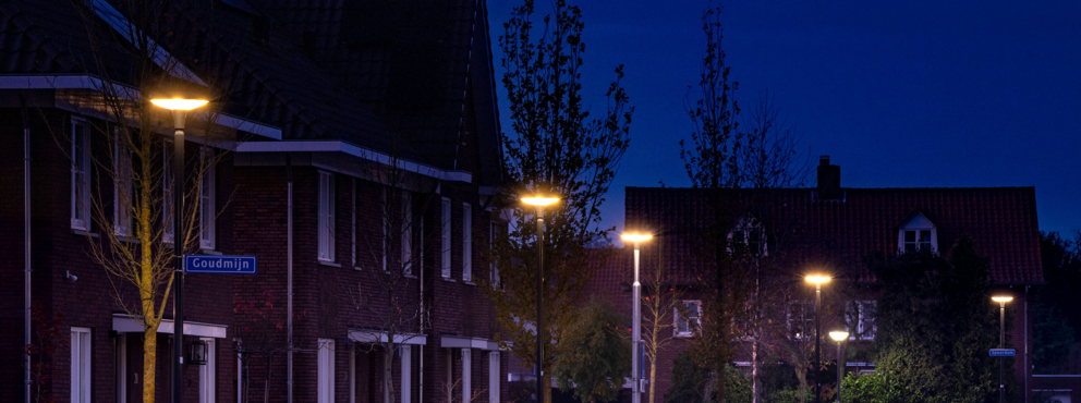 Lightronics_header_PRUNUS_B