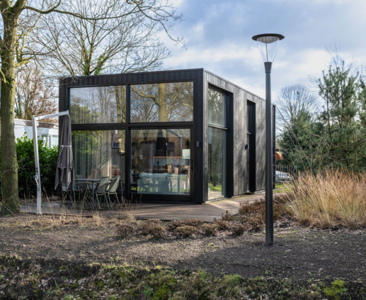 240-2024-Klein-Oisterwijk-Prunus-010 240-2024-Klein-Oisterwijk-Prunus-010